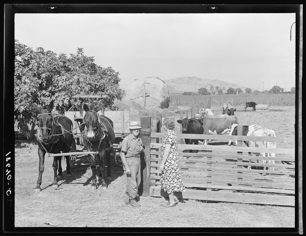 Dorothea Lange, 1938 — an FSA loan client's working farm, Farm Security Administration