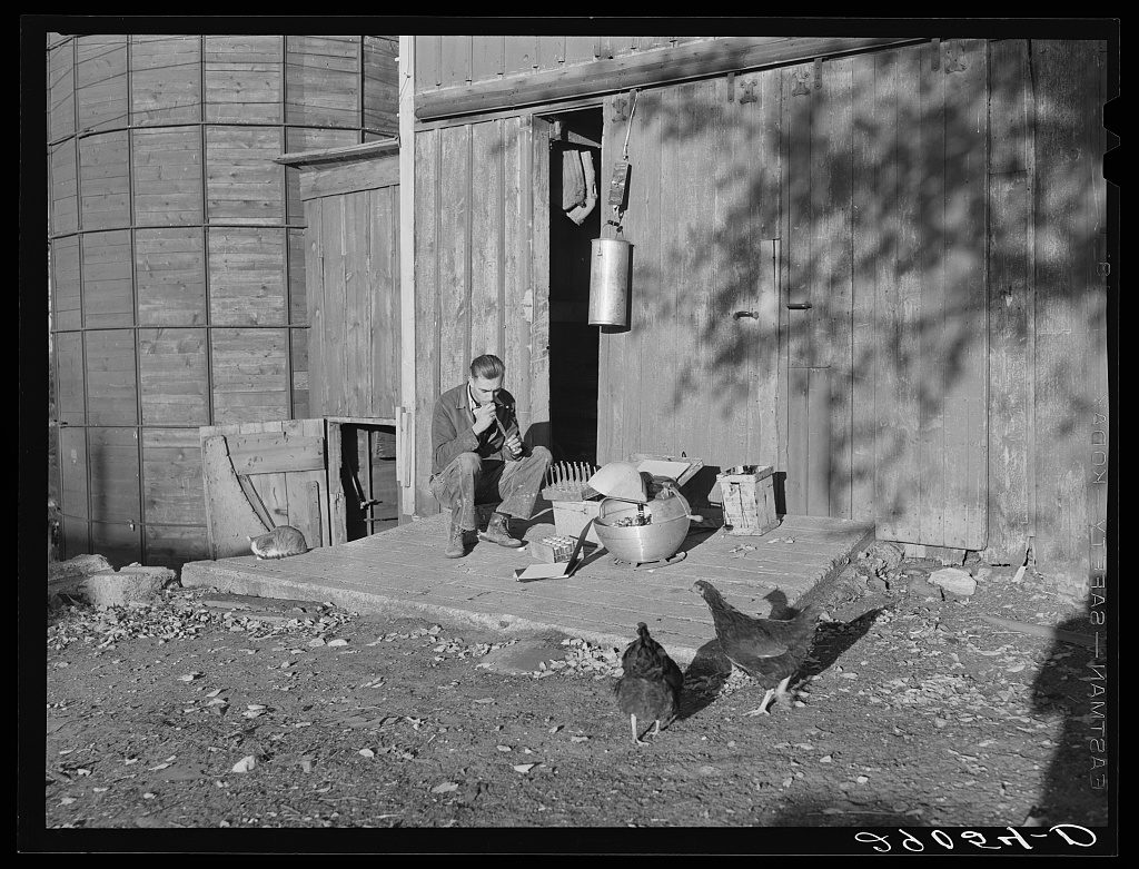 Arthur Rothstein, 1939 — a farmer testing his milk on the barn ramp